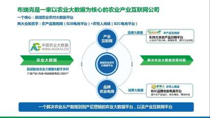 农业B2B创新尝试,「布瑞克农业互联网」实现全面盈利